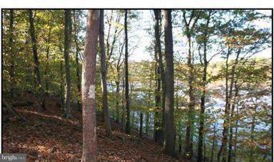 5901 Yates Ford Road - Photo 1