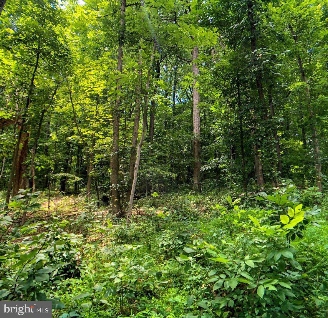 Lot 13 Lakeside Drive - Photo 1