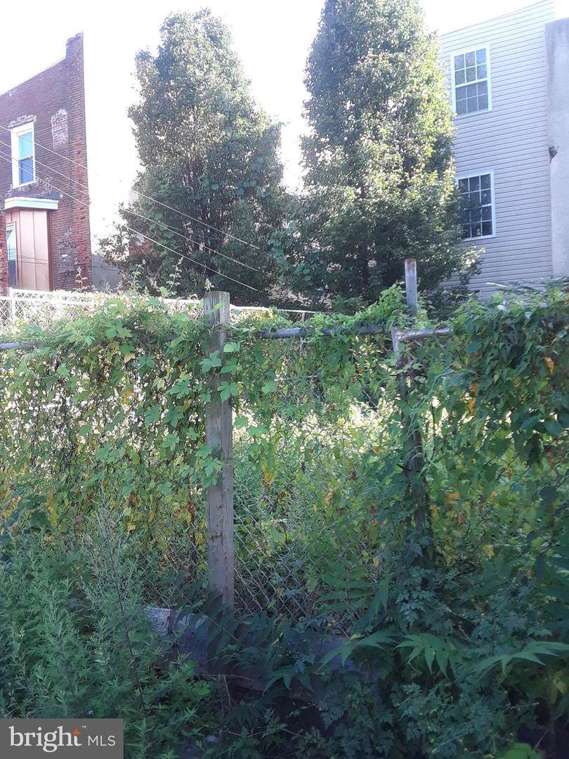 1808 Harlan Street - Photo 1