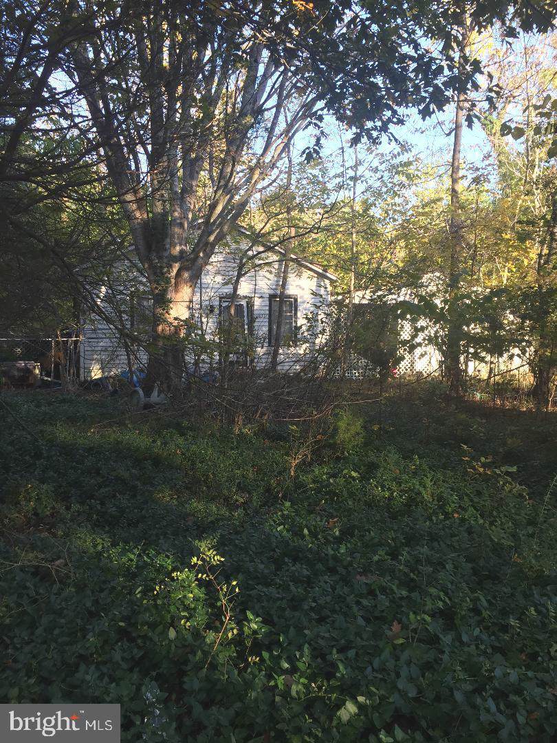 10831 Cloverdale Street - Photo 1