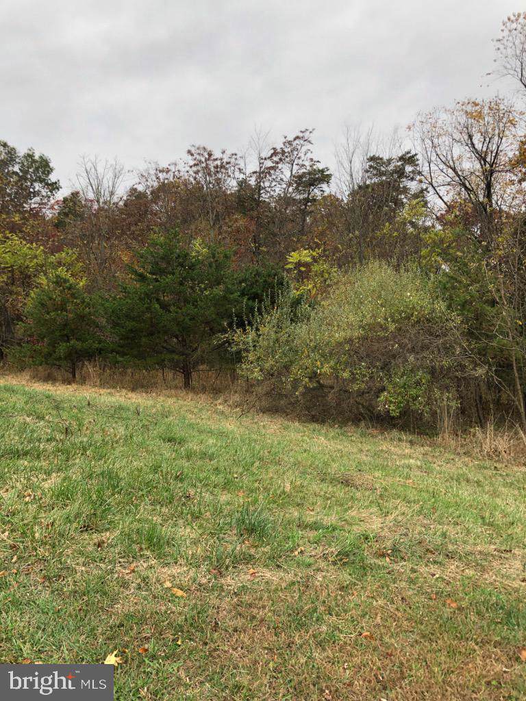 13 Harry Hiett Lane - Photo 1