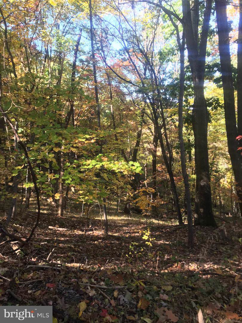 0 Skyline Lakes West Subdivision Lot 10 - Photo 1
