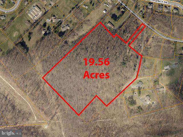 1131 Old Fritztown Road - Photo 1