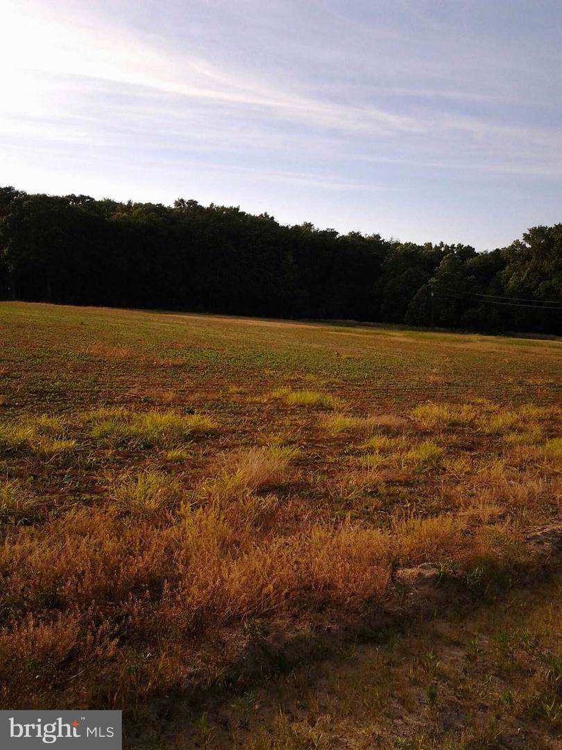 0 Buckeye Road - Photo 1