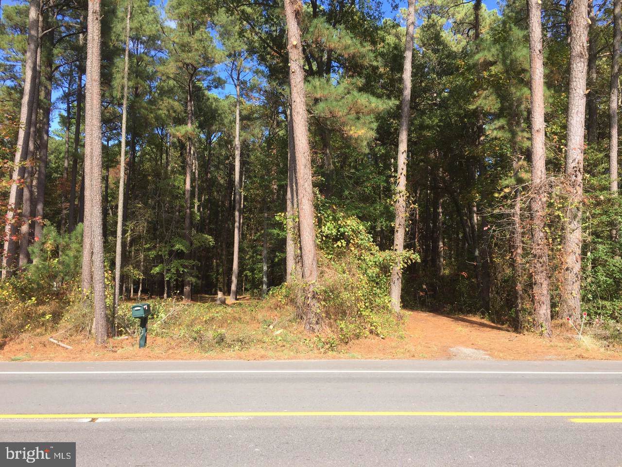 Lot 13 Washington Road - Photo 1