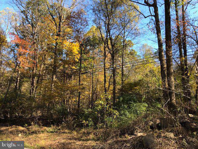 1705 Kleinfeltersville Road - Photo 1