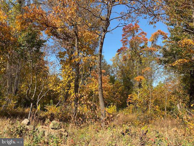 Morgans Mill Rd - Photo 1