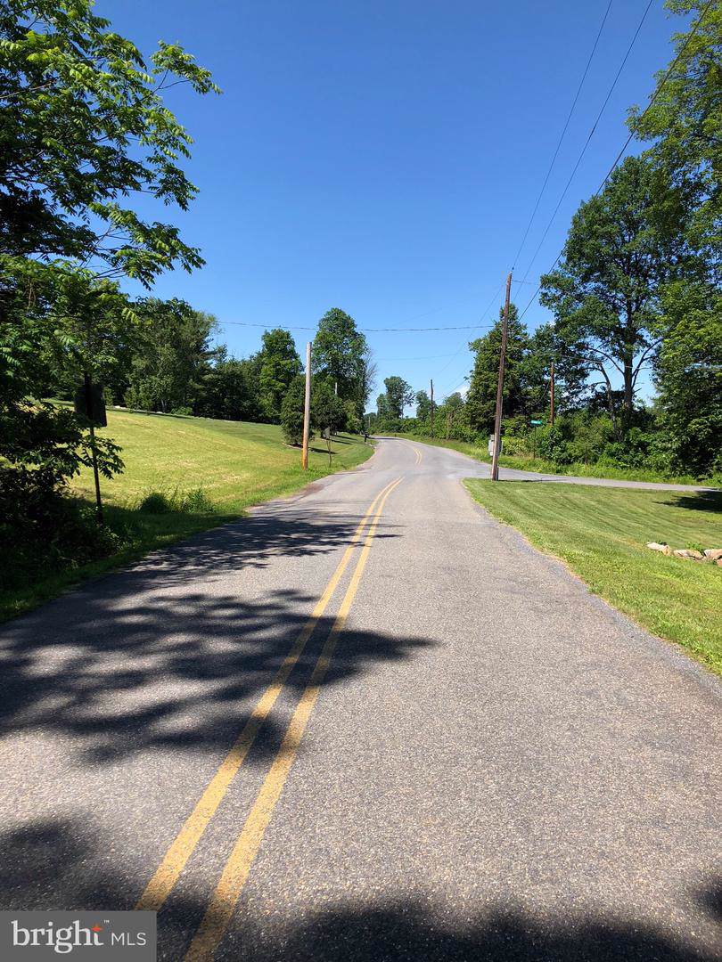 0 Blue Mountain Drive - Photo 1