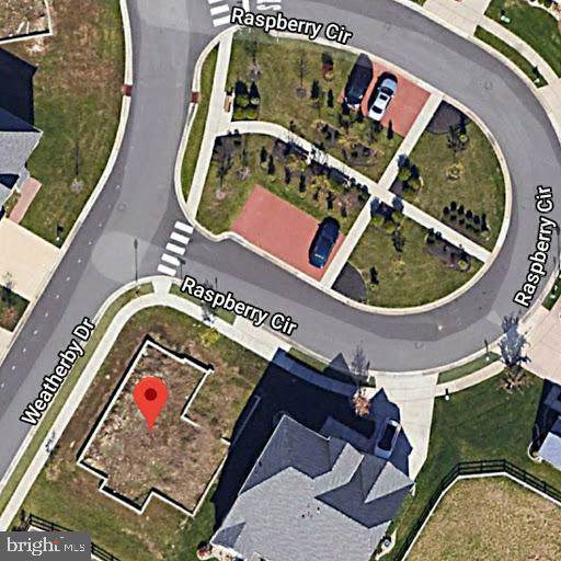 800 Raspberry Circle - Photo 1 800 Raspberry Circle - Photo 1