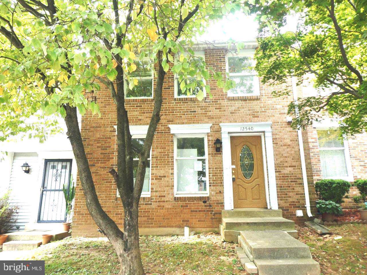 12540 Timber Hollow Place - Photo 1