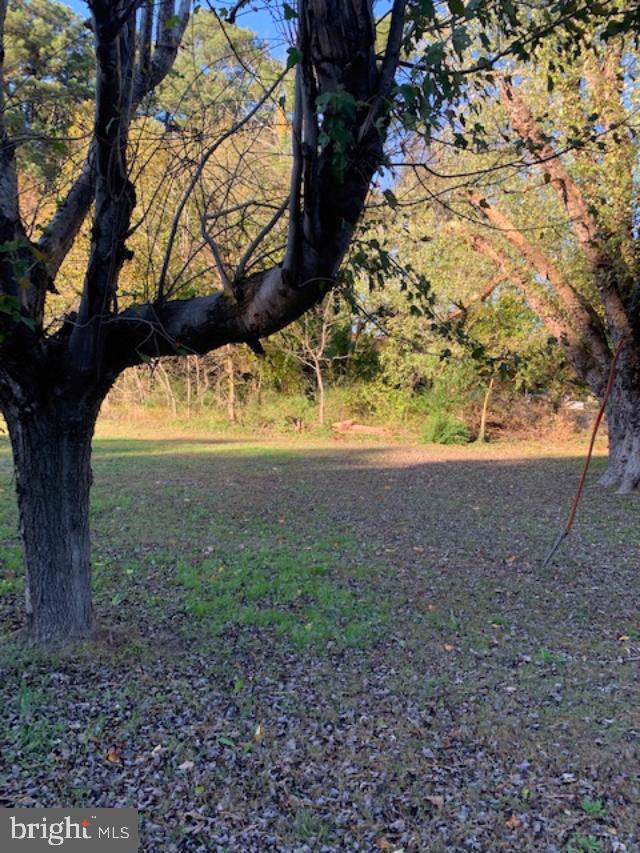 10319 Henry Road - Photo 1