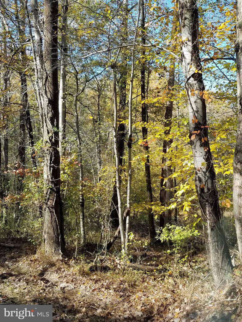 Padgett Road - Photo 1