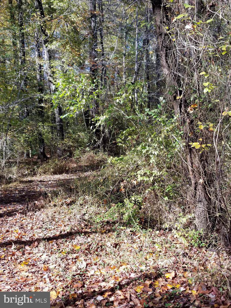 4300 Padgett Road - Photo 1