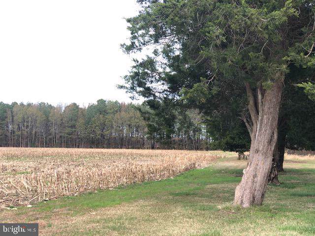 31057 Frankford School Road - Photo 1
