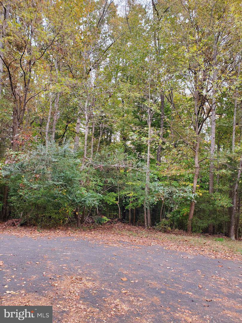 Lot 16 Taylor Court - Photo 1