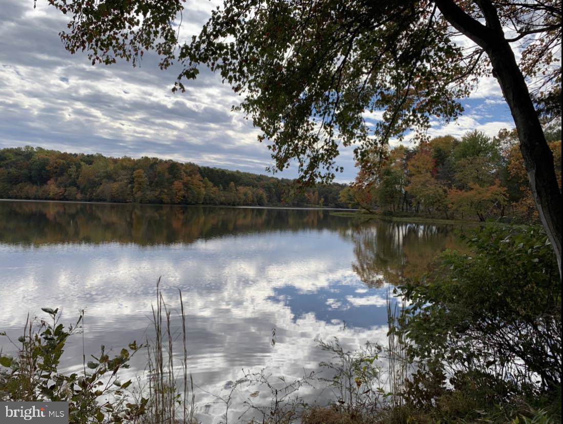 Lot 48 Bald Eagle Trail - Photo 1