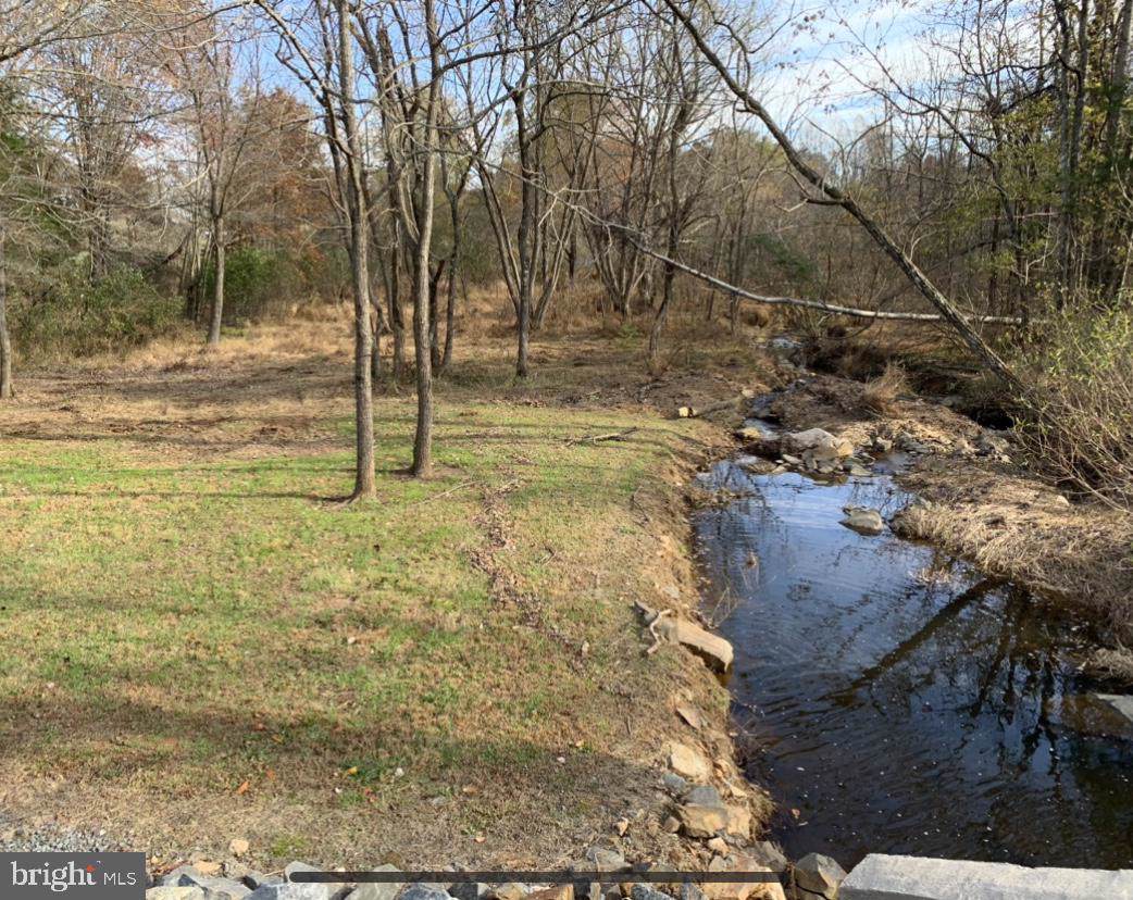 Lot 46C Bald Eagle Trail - Photo 1