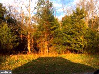 Wren Lane - Photo 1