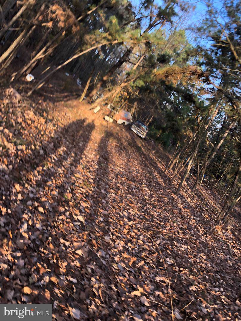 337 Atsion Road - Photo 1