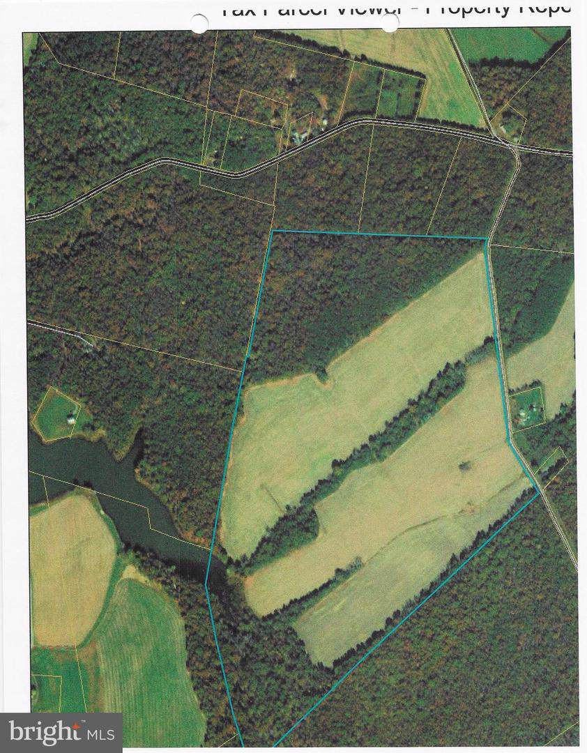 TBD Old Mill Rd - Photo 1