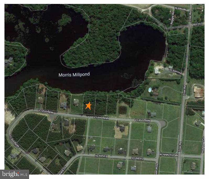 24746 Mill Pond Lane - Photo 1