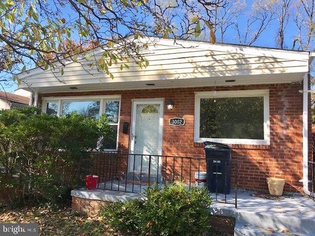 3002 Curtis Drive - Photo 1