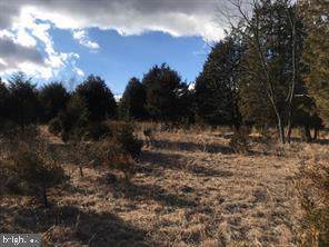 Patterson Creek Rd. Off Rt 11 - Photo 1