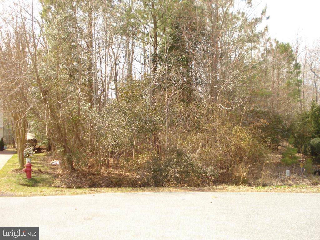 1115 Stones Run Road - Photo 1