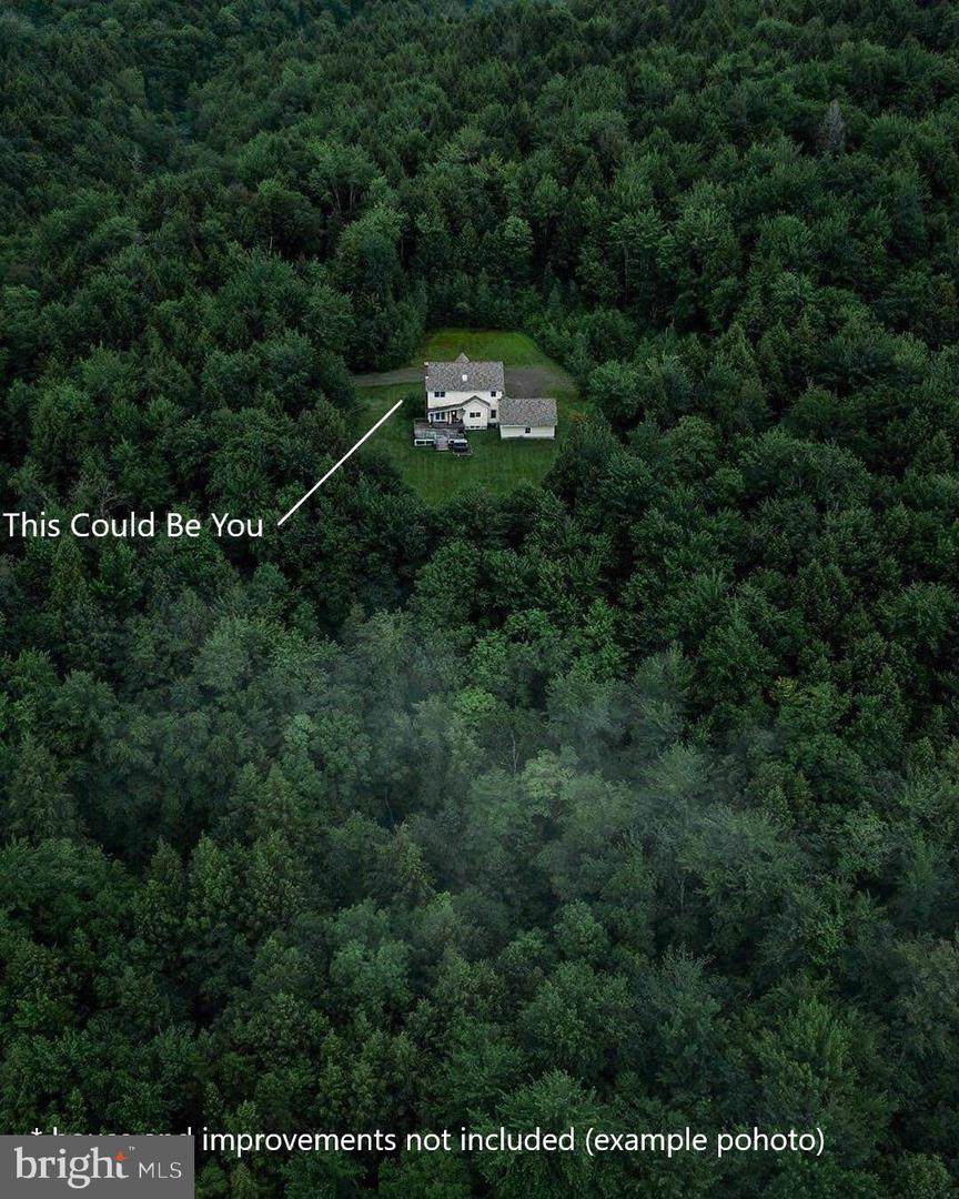 379 Decatur Road - Photo 1