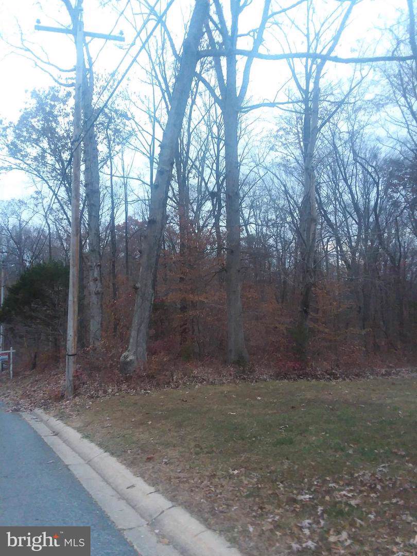 Mandeville Road - Photo 1