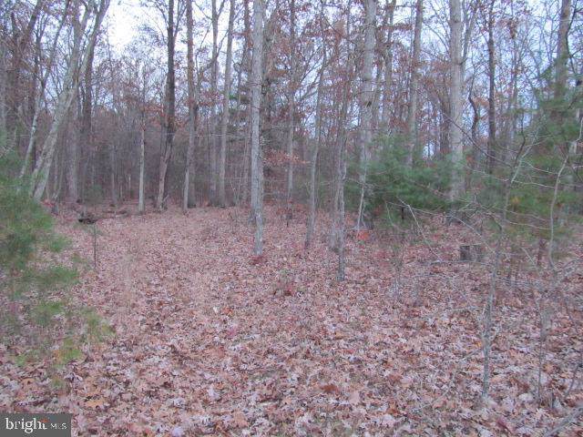 Lot H Timber Ridge - Photo 1