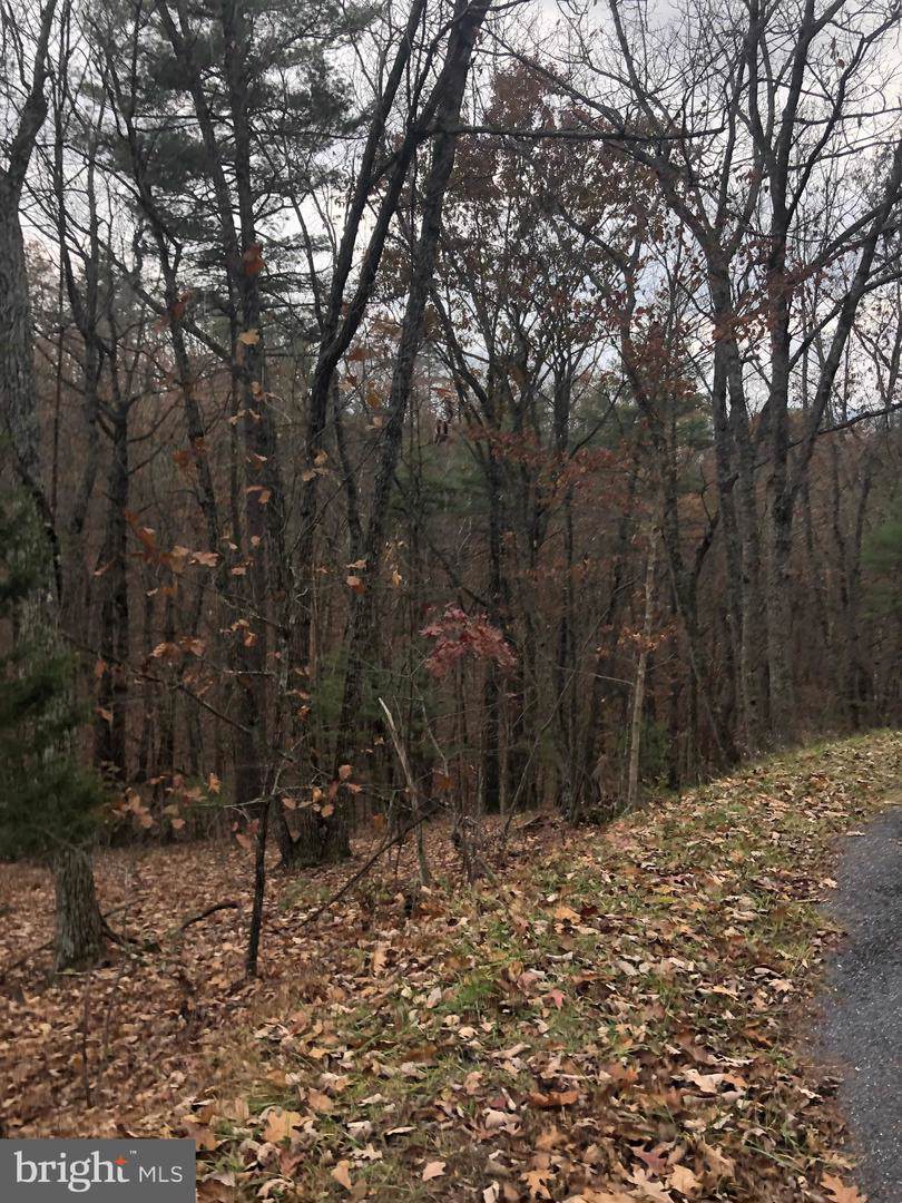 0-LOT 113 Roberts Run - Photo 1