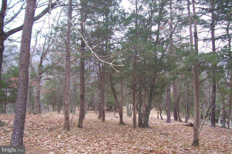 Hidden Hollow Road - Photo 1