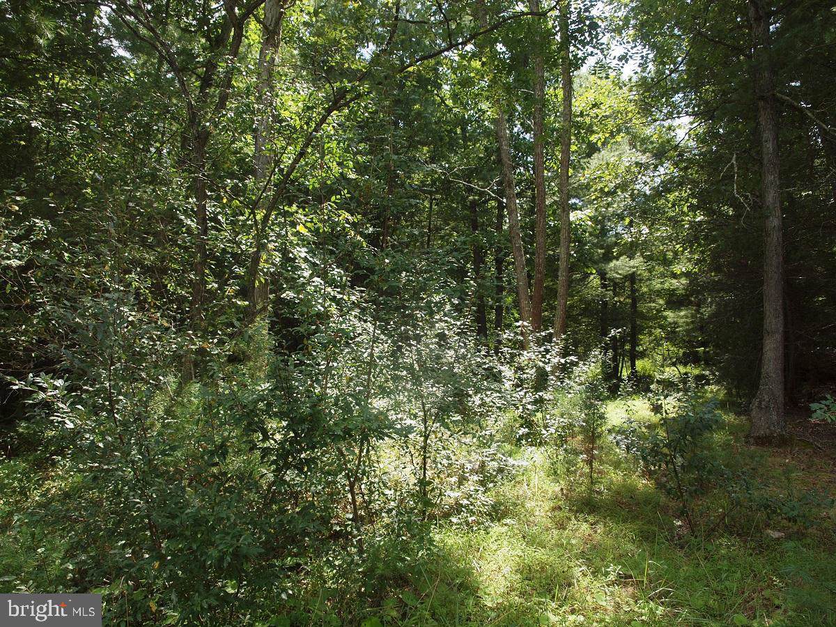 Lots 20-24, Oakwood Estates - Photo 1