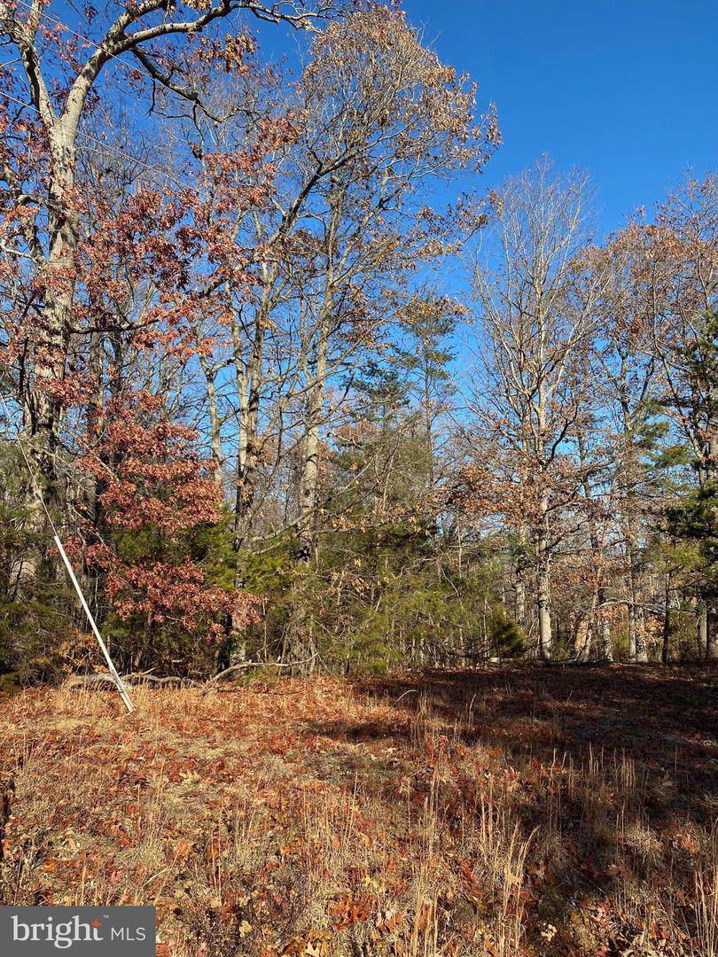 10503 Carriage Road - Photo 1