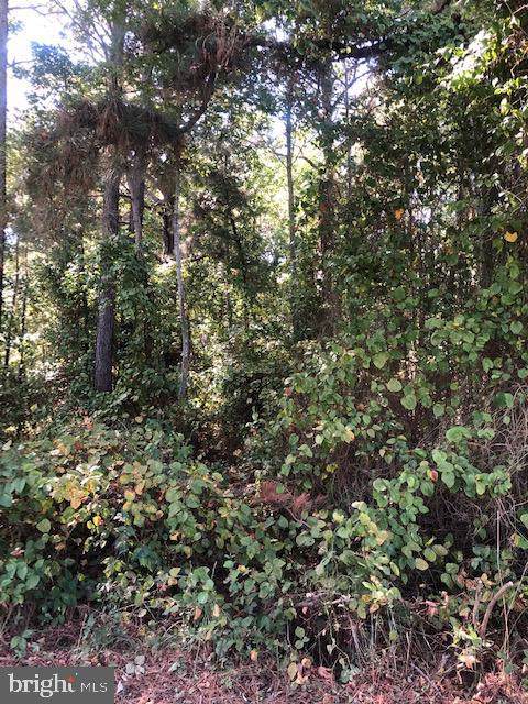 Lot 8 - Photo 1