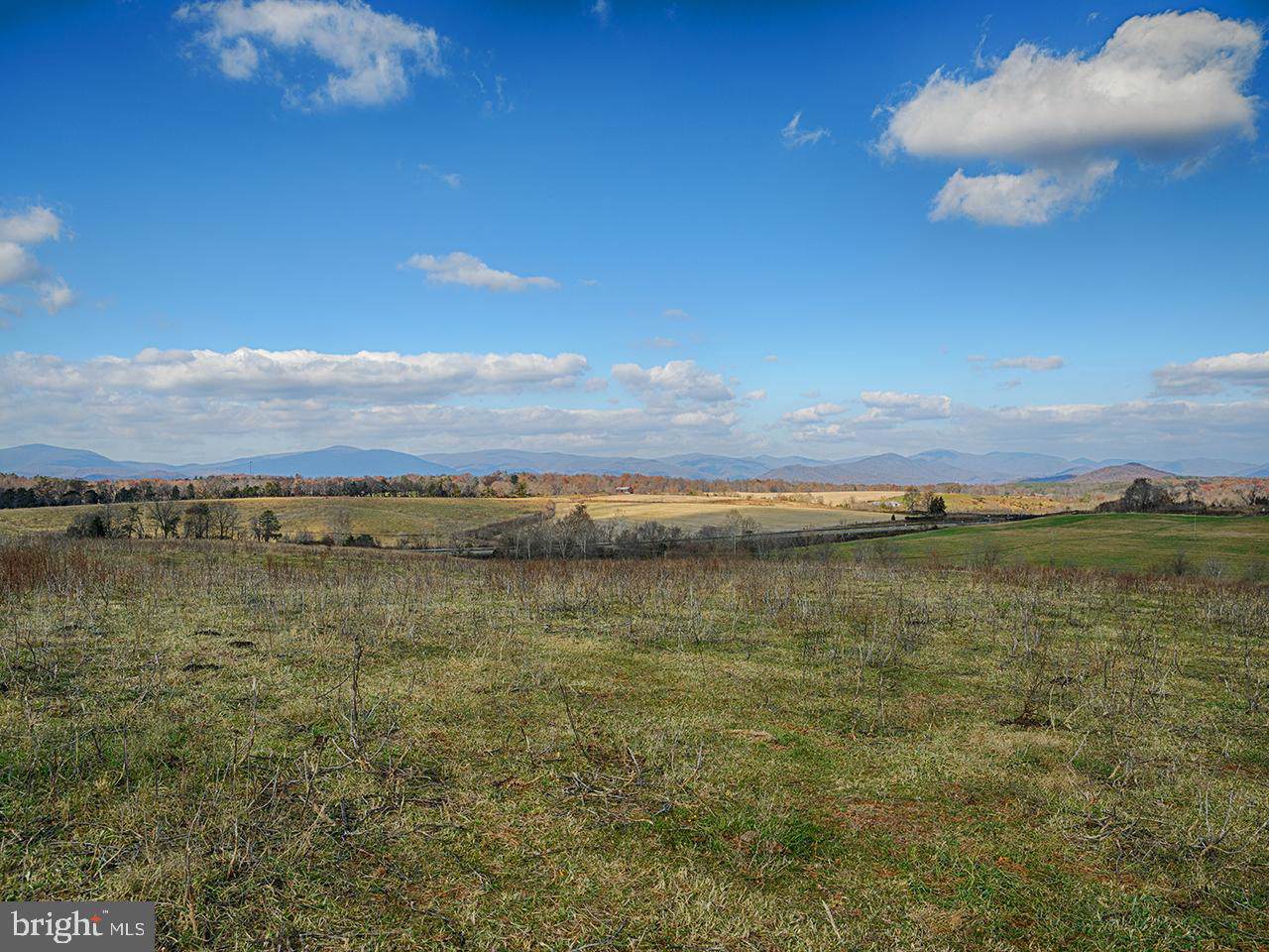 TBD Moore Road - Photo 1