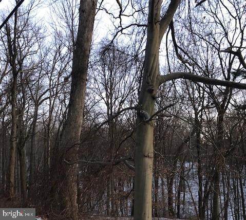 2 Rhue Haus Lane - Photo 1