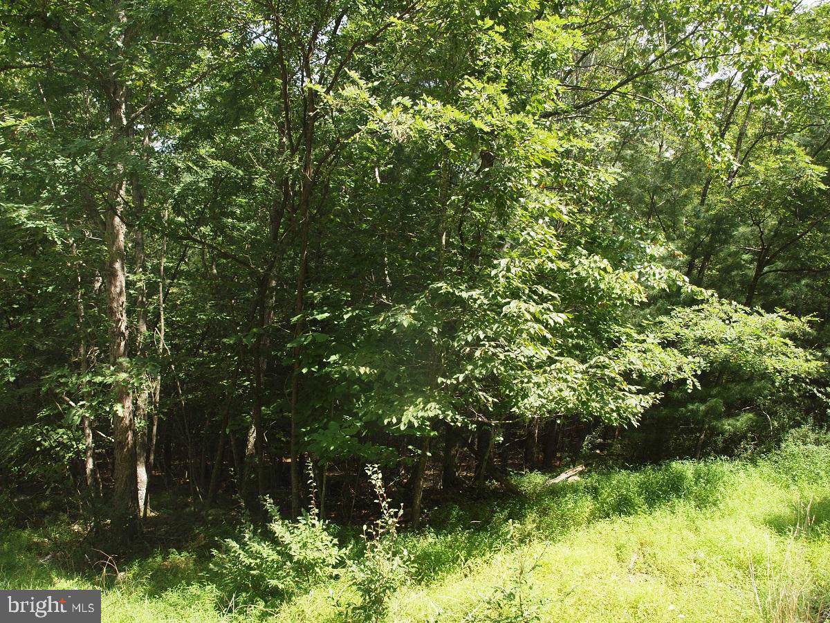 Lots 25-30 Oakwood Estates - Photo 1