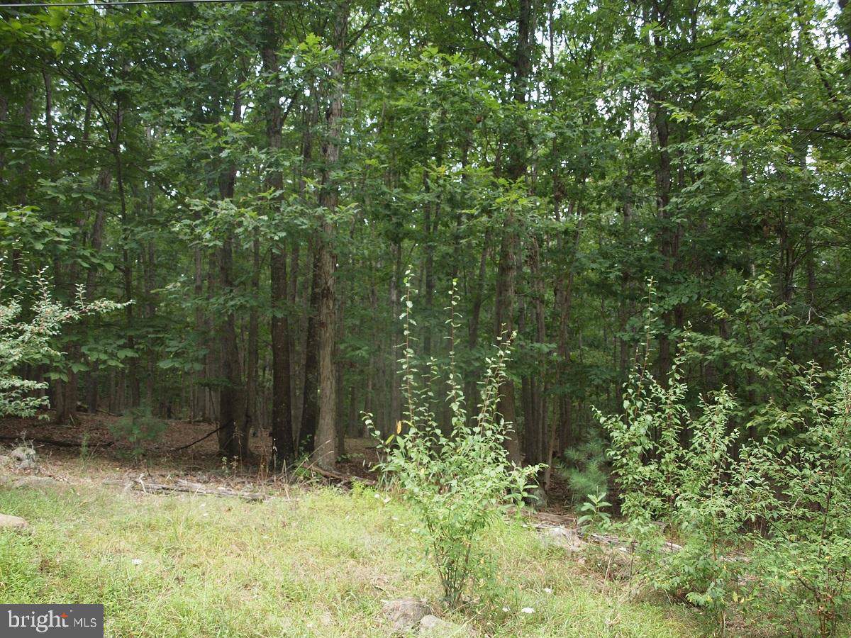Lots 9-16 Oakwood Estates - Photo 1