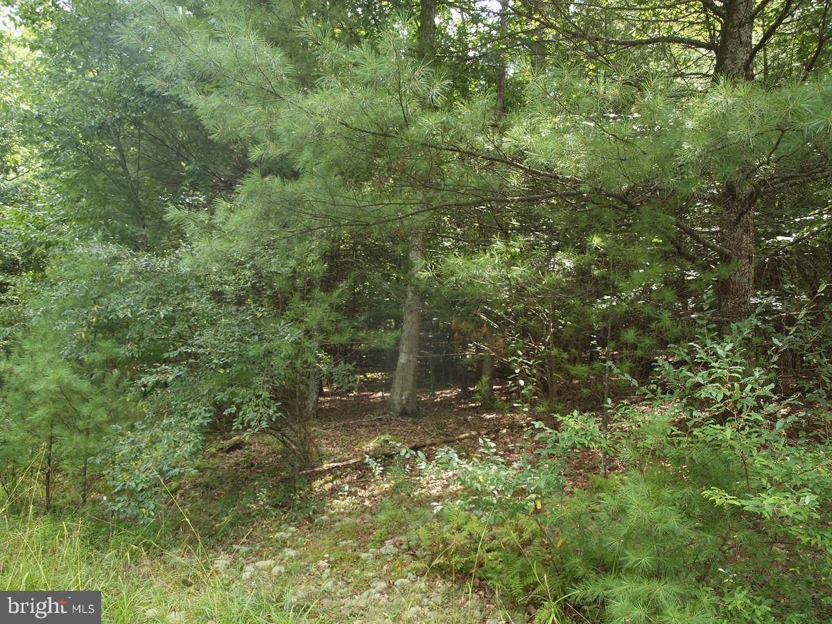 Lots 20-24 Oakwood Estates - Photo 1