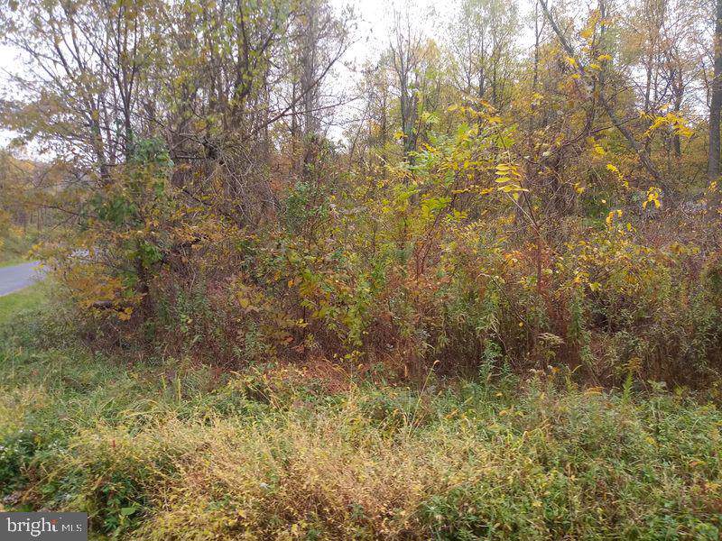 54 & 56 Fawn Trail - Photo 1