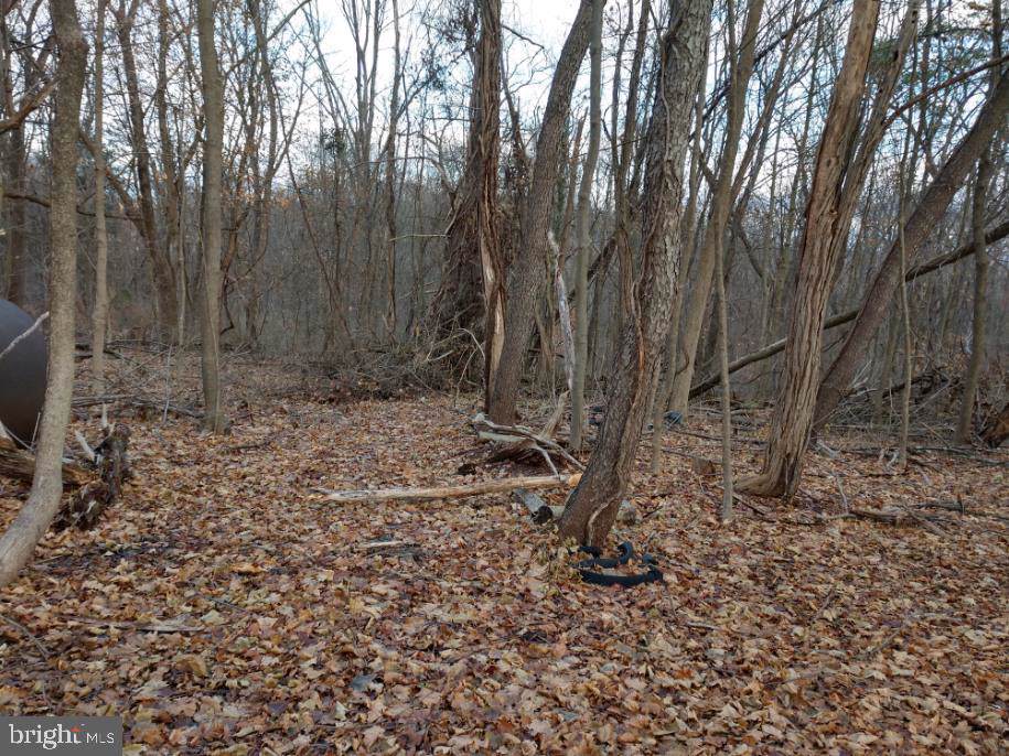 0 Kamp Street - Photo 1