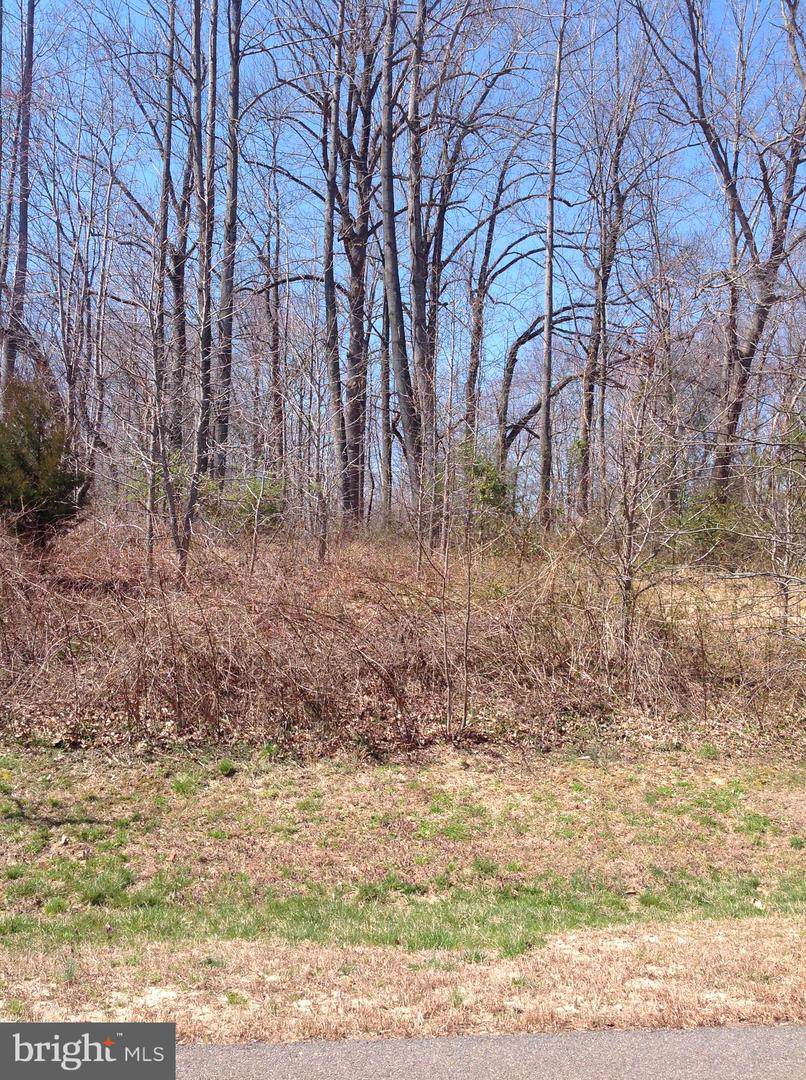 805 Bounty Place - Photo 1