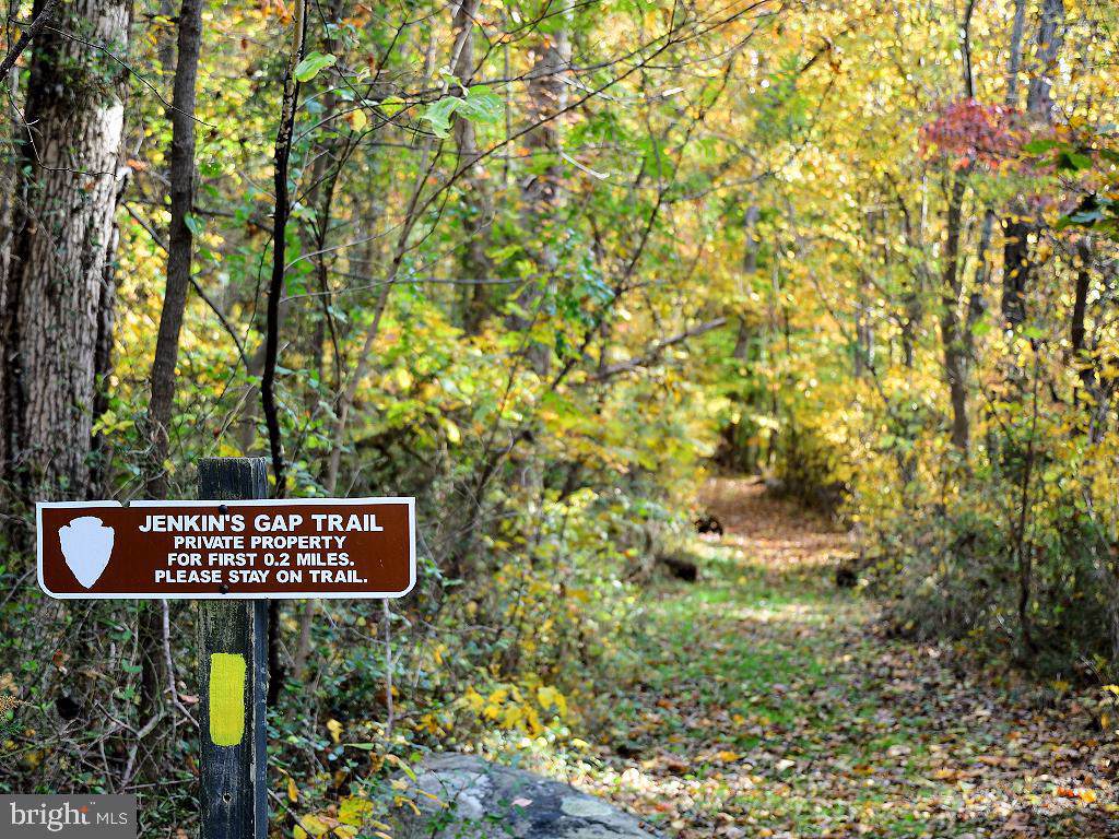 Smith Run Road - Photo 1