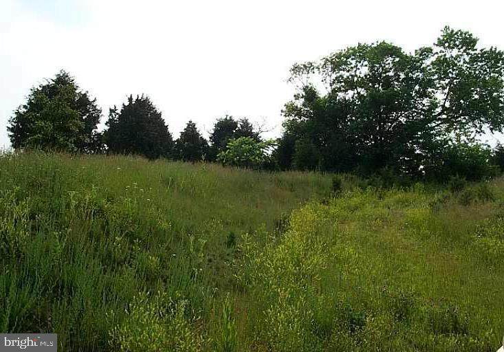 2750 Front Royal Pike - Photo 1