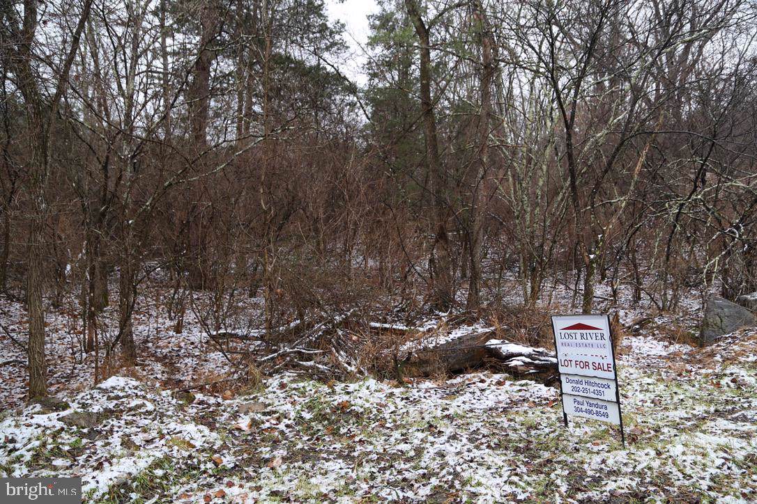 A11 Mt Laurel Circle - Photo 1