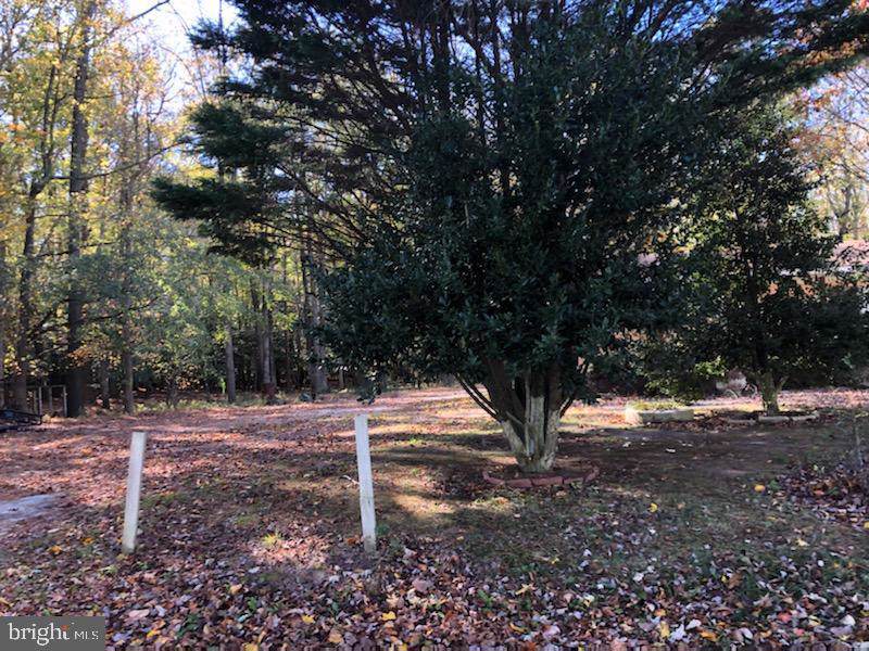 8822 Marshall Creek Road - Photo 1