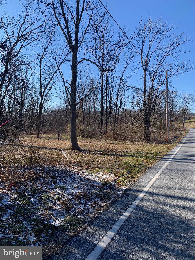 0 Old Cabin Hollow Road - Photo 1
