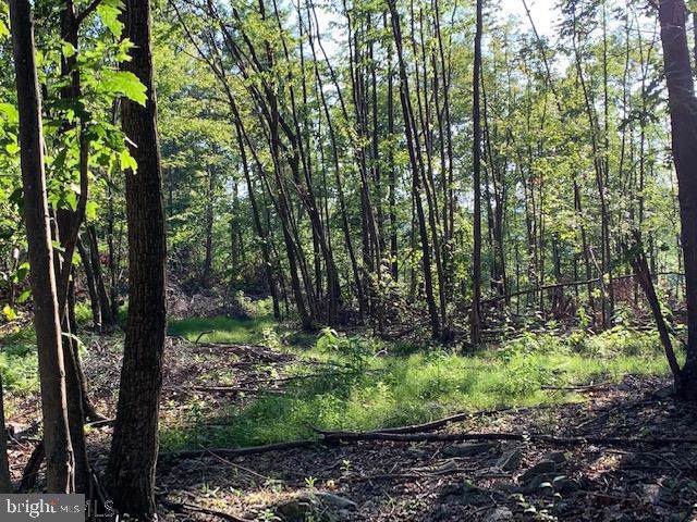 1009 Six Mile Run Road - Photo 1